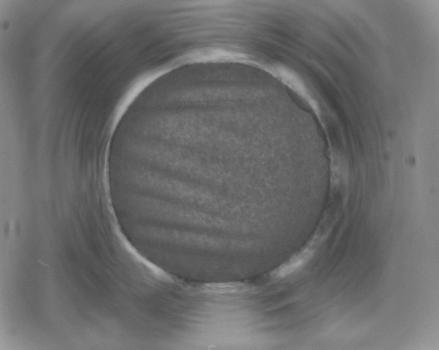 X0000080180863200612221314