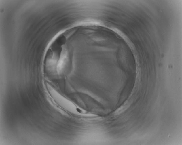 X0000080180864200612221314