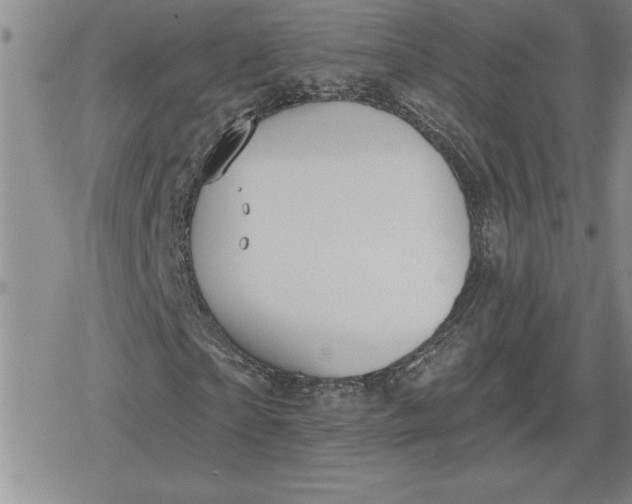 X0000080180865200612221313