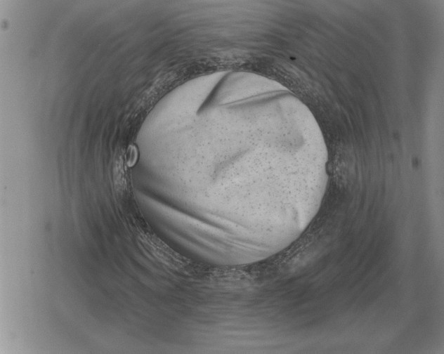 X0000080180866200612221313