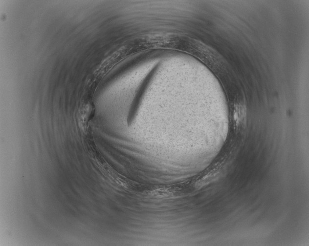 X0000080180867200612221313