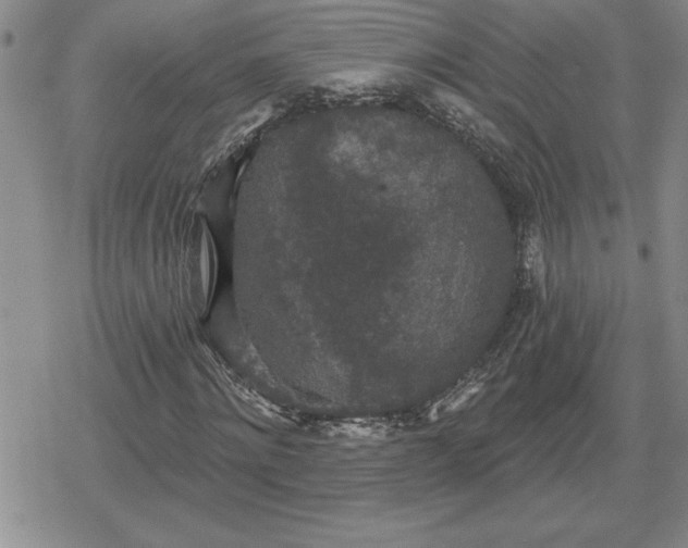 X0000080180868200612221313