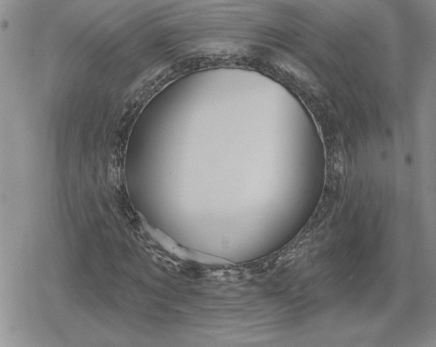 X0000080180869200612221313