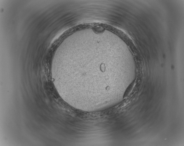 X0000080180871200612221313