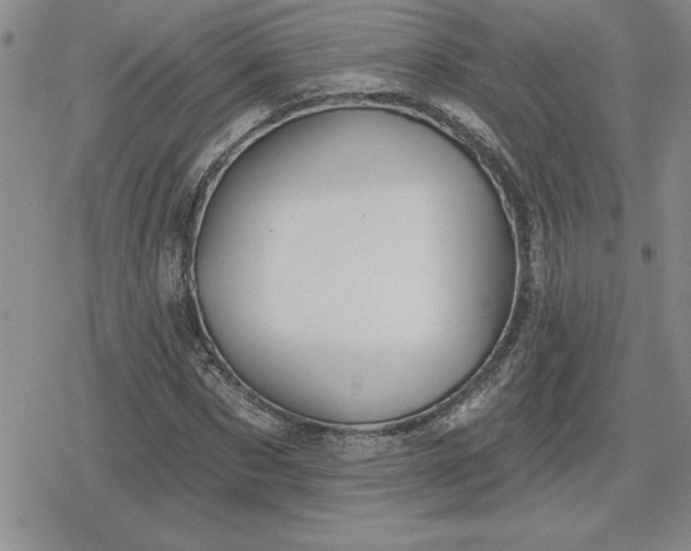 X0000080180873200612221313