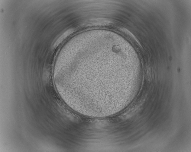 X0000080180874200612221313