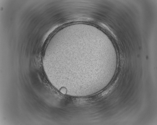 X0000080180875200612221313