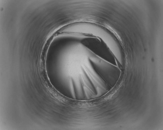 X0000080180876200612221313