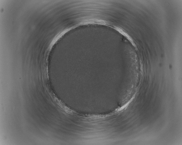 X0000080180877200612221313