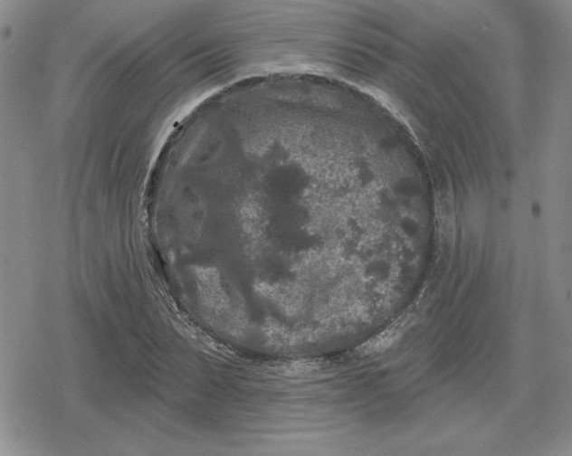 X0000080180879200612221313