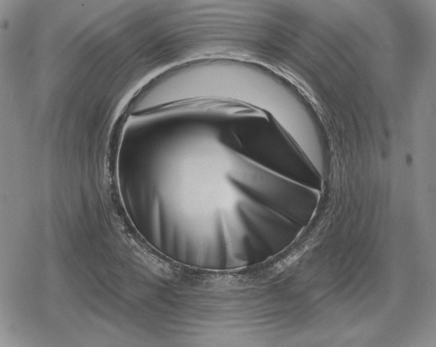 X0000080180880200612221313