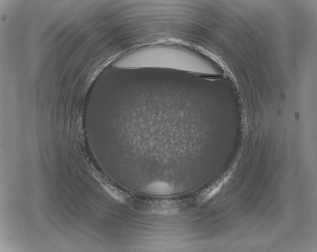 X0000080180881200612221313