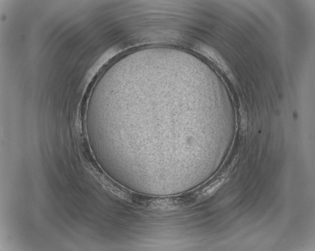 X0000080180883200612221313