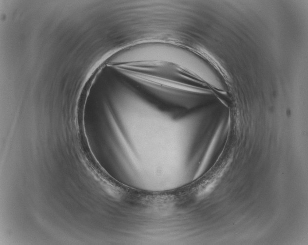 X0000080180884200612221313