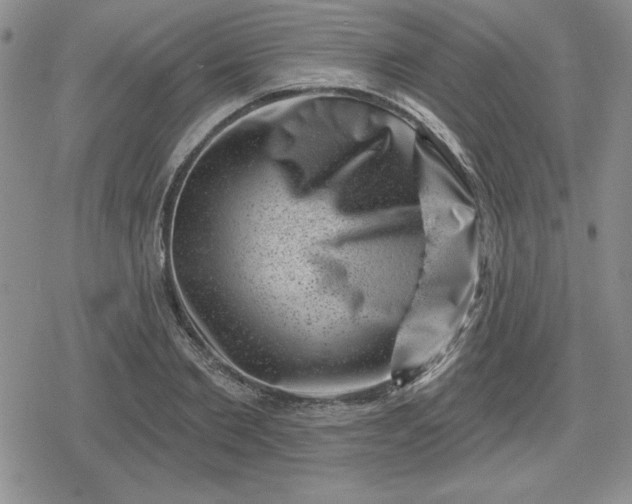 X0000080180885200612221313