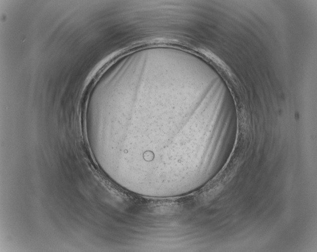 X0000080180886200612221313