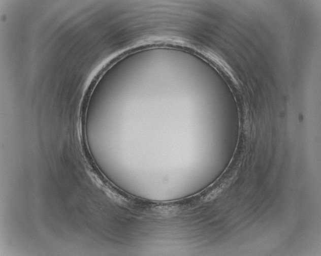 X0000080180888200612221313