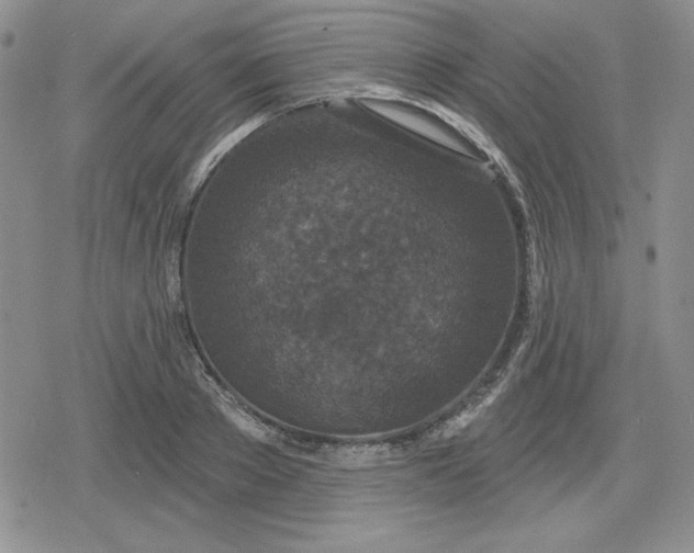 X0000080180889200612221313