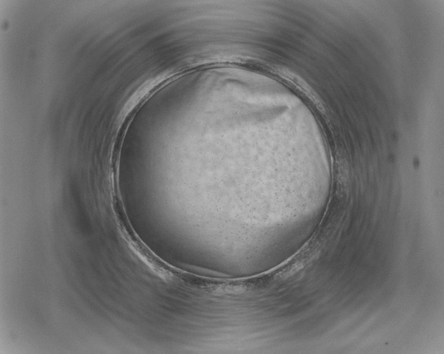 X0000080180890200612221313