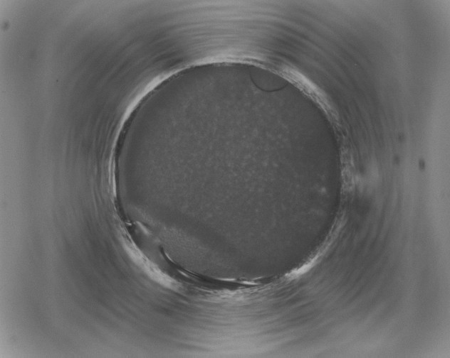 X0000080180892200612221313