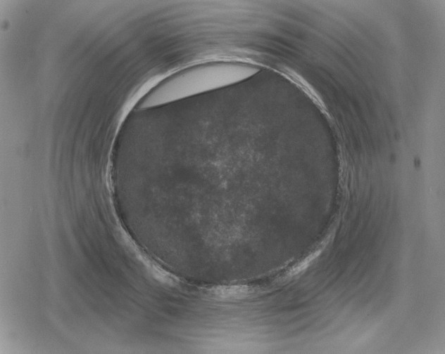 X0000080180893200612221313