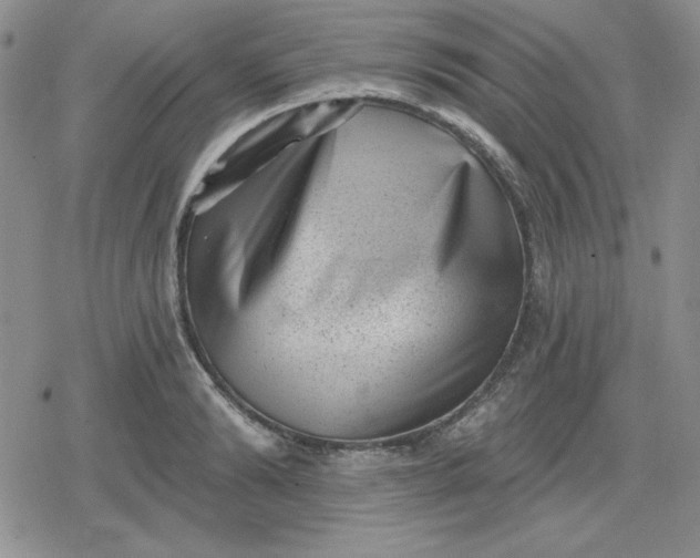 X0000080180894200612221313