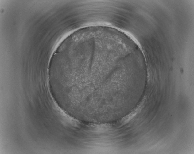 X0000080180895200612221313