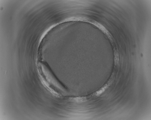 X0000080180896200612221313