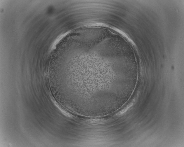 X0000080180897200612221313