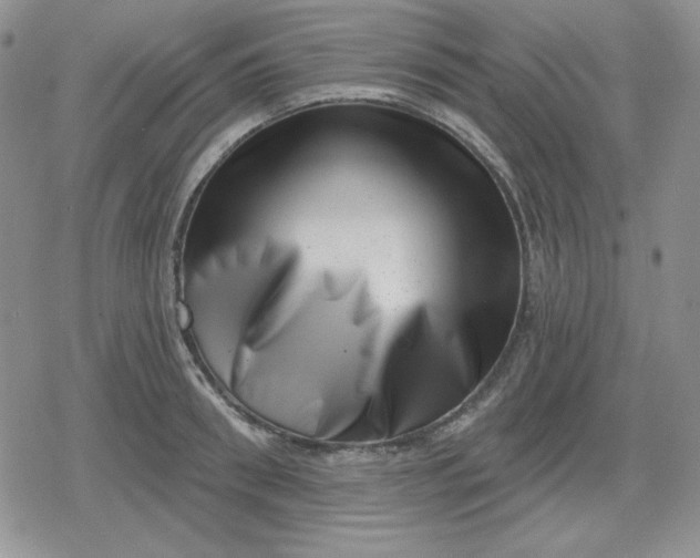 X0000080180898200612221313