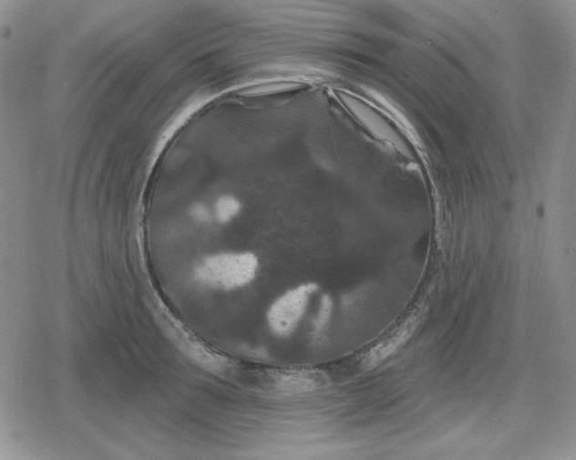 X0000080180899200612221313