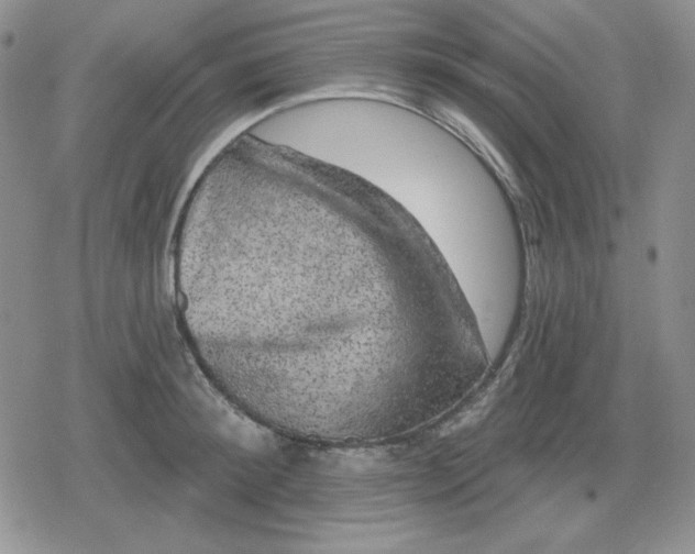 X0000080180900200612221313