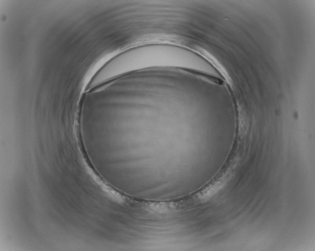 X0000080180901200612221313