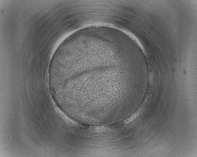 X0000080180903200612221313