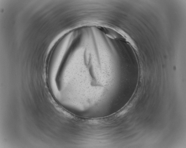 X0000080180904200612221313