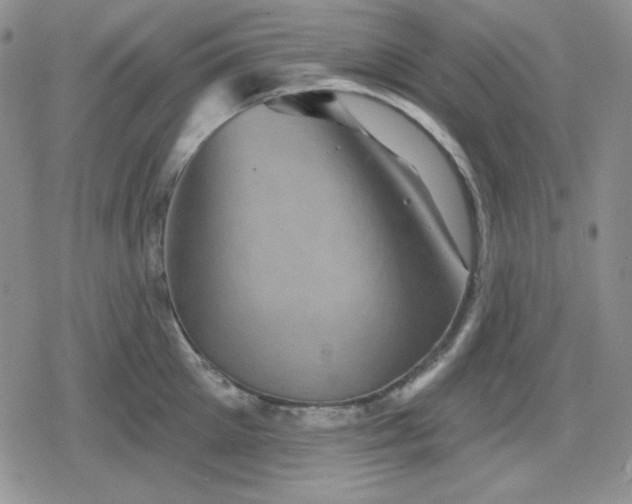 X0000080180905200612221313