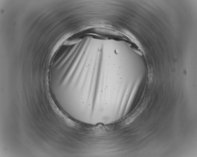 X0000080180906200612221313