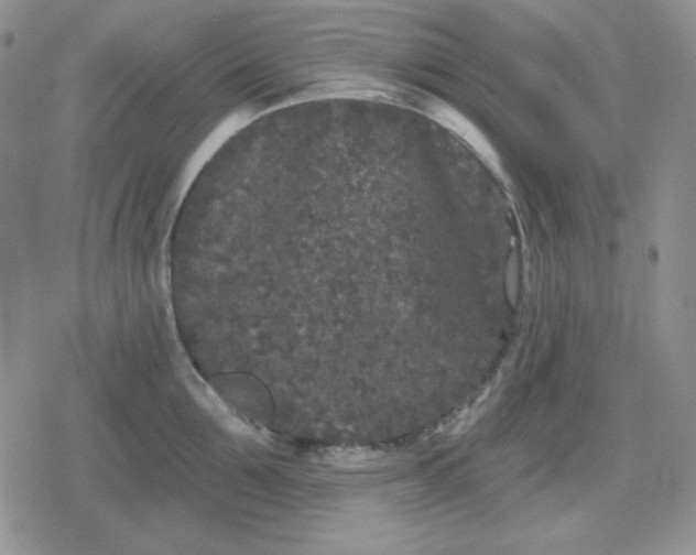 X0000080180907200612221313