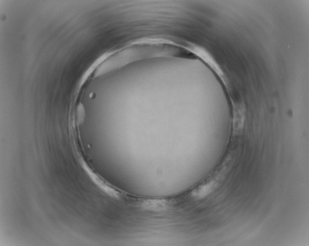 X0000080180909200612221312