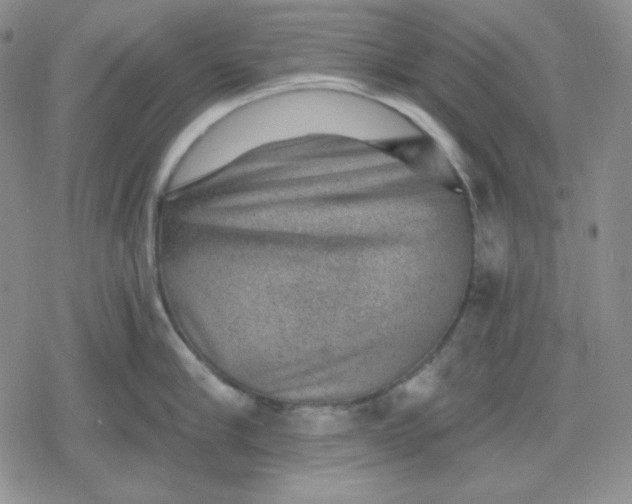 X0000080180910200612221312