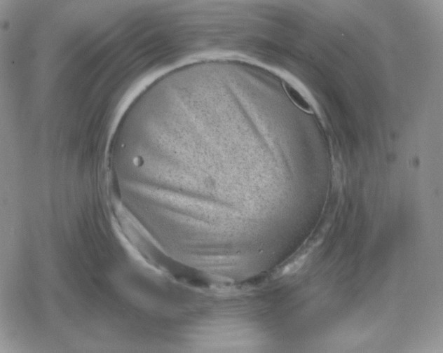 X0000080180911200612221312