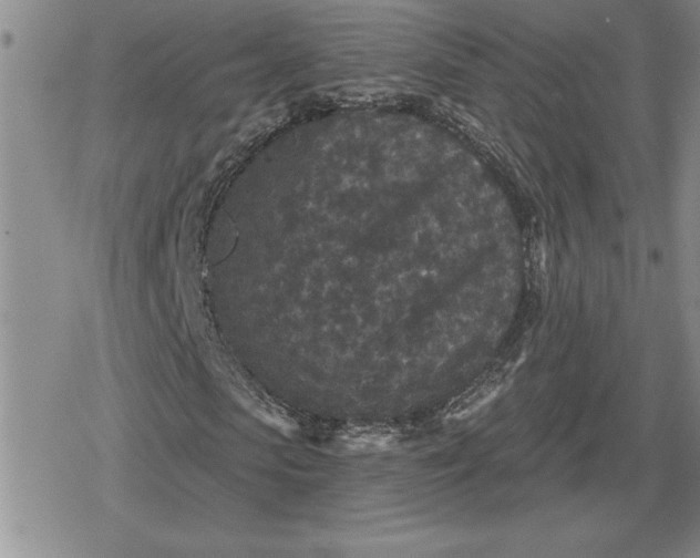 X0000080180913200612221312