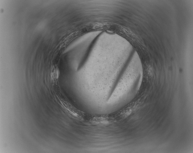 X0000080180914200612221312