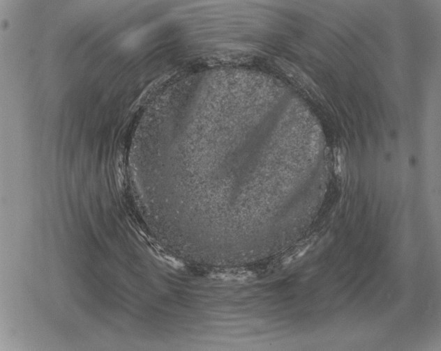 X0000080180915200612221312