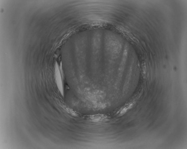 X0000080180916200612221312