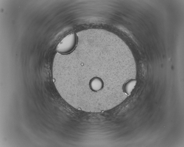 X0000080180918200612221312