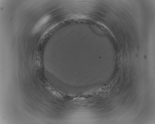 X0000080180919200612221312