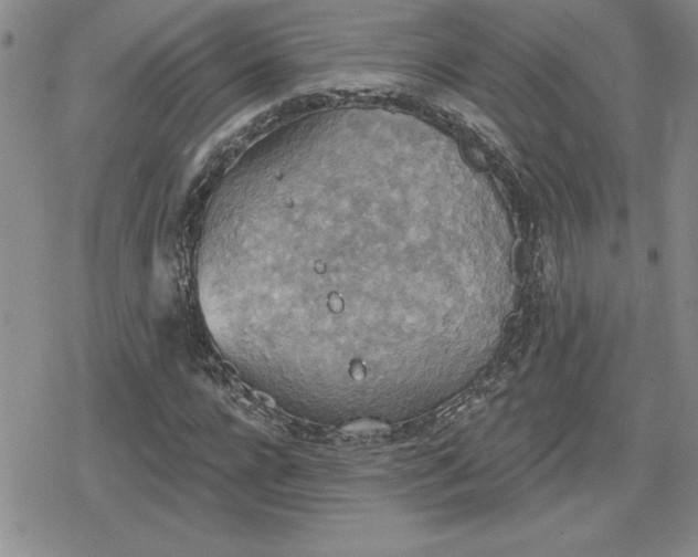 X0000080180920200612221312