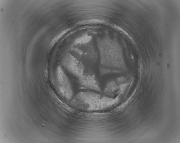 X0000080180921200612221312