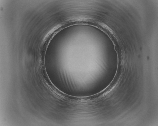 X0000080180922200612221312